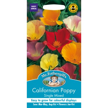 Californian Poppy Single Mixed